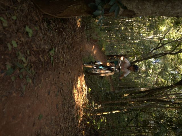 A child bike riding through the rainforest