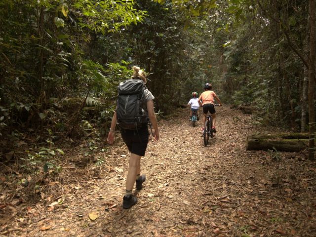 Family walking through rainforest