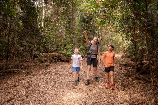 Family walking casually through rainforest