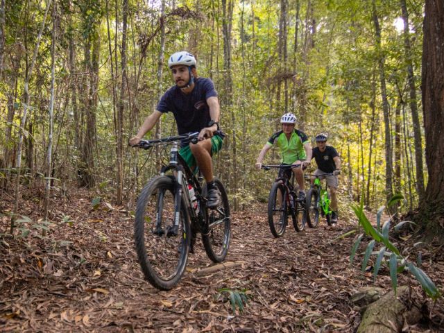 Three people biking riding in rainforest